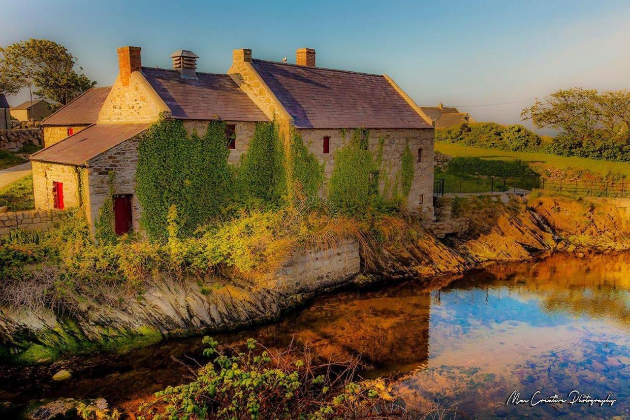Lovely 2-Bed Cottage At The Foot Of The Mournes Ньюрі Екстер'єр фото