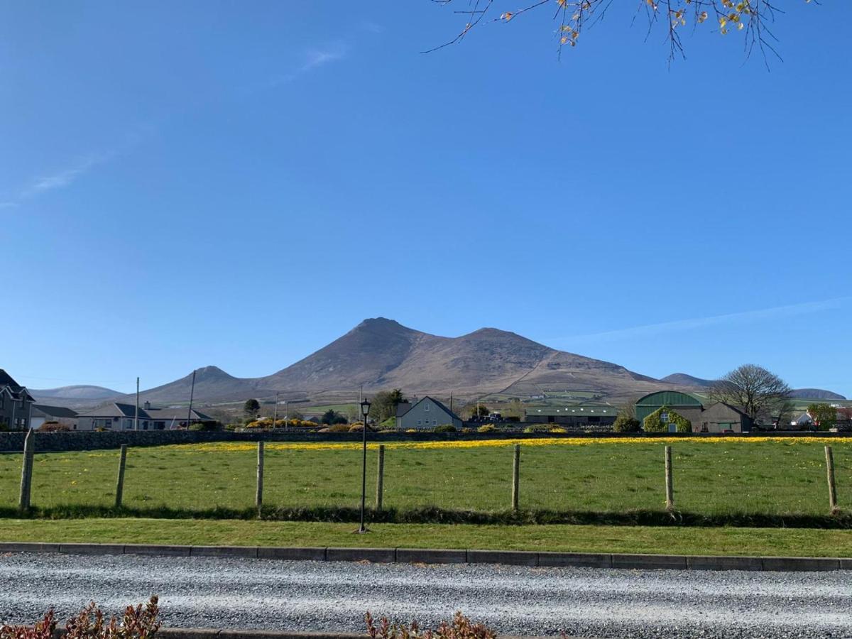 Lovely 2-Bed Cottage At The Foot Of The Mournes Ньюрі Екстер'єр фото