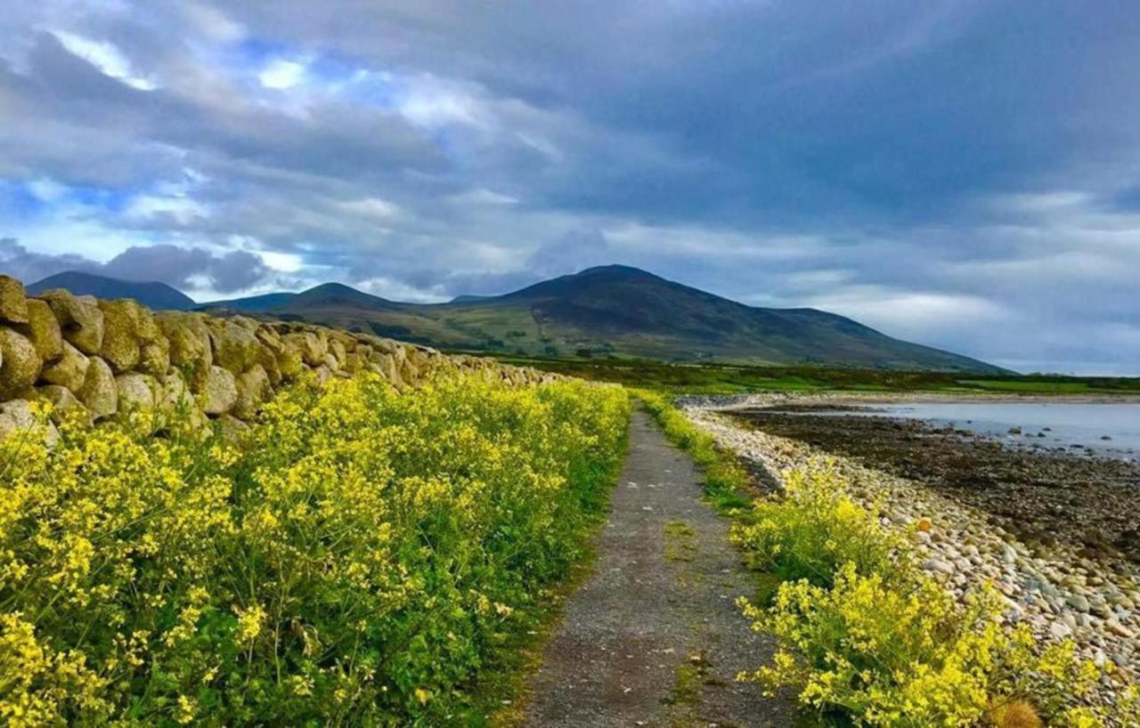 Lovely 2-Bed Cottage At The Foot Of The Mournes Ньюрі Екстер'єр фото